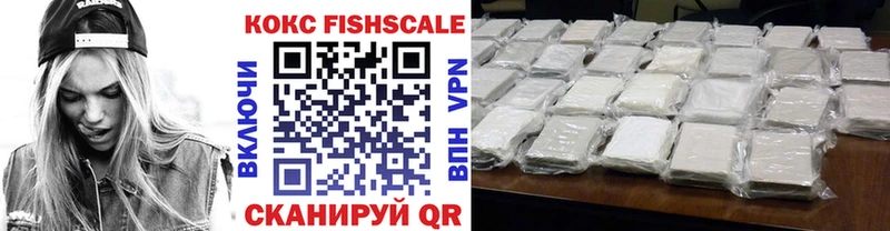 COCAIN FishScale  цены наркотик  Николаевск-на-Амуре 