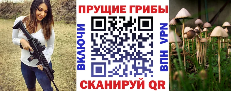 Галлюциногенные грибы Psilocybe  гидра ссылка  Николаевск-на-Амуре 